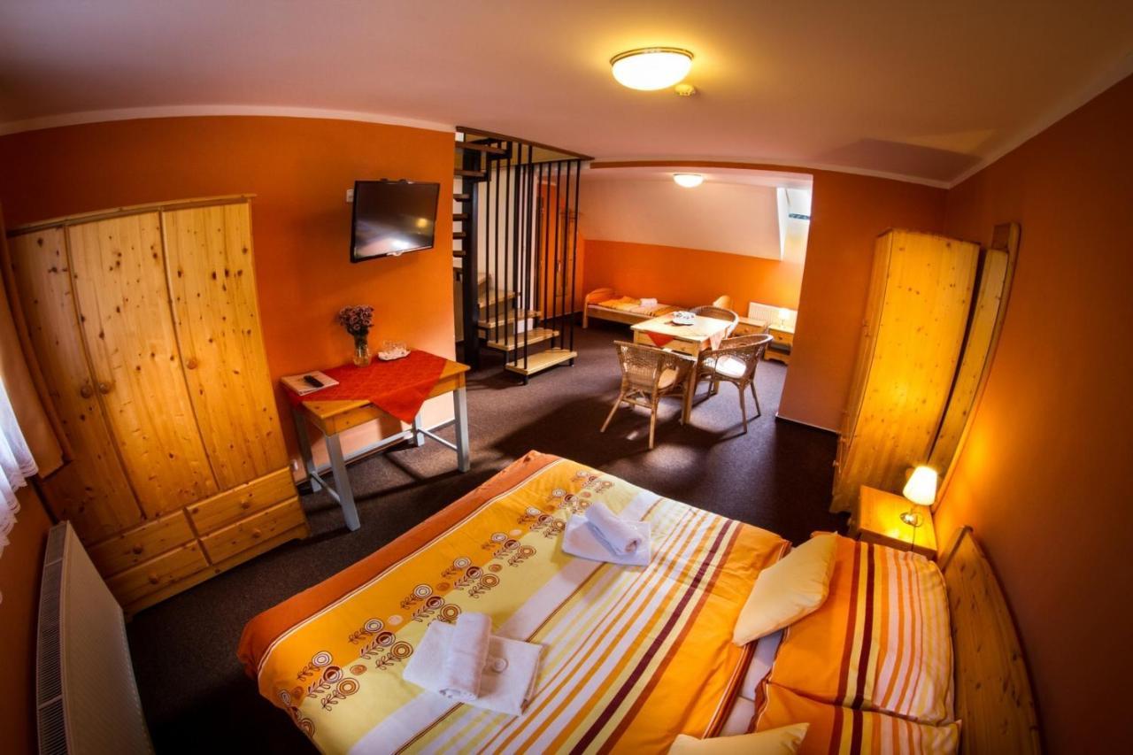 Horsky Hotel Snezenka Hyncice pod Susinou Экстерьер фото
