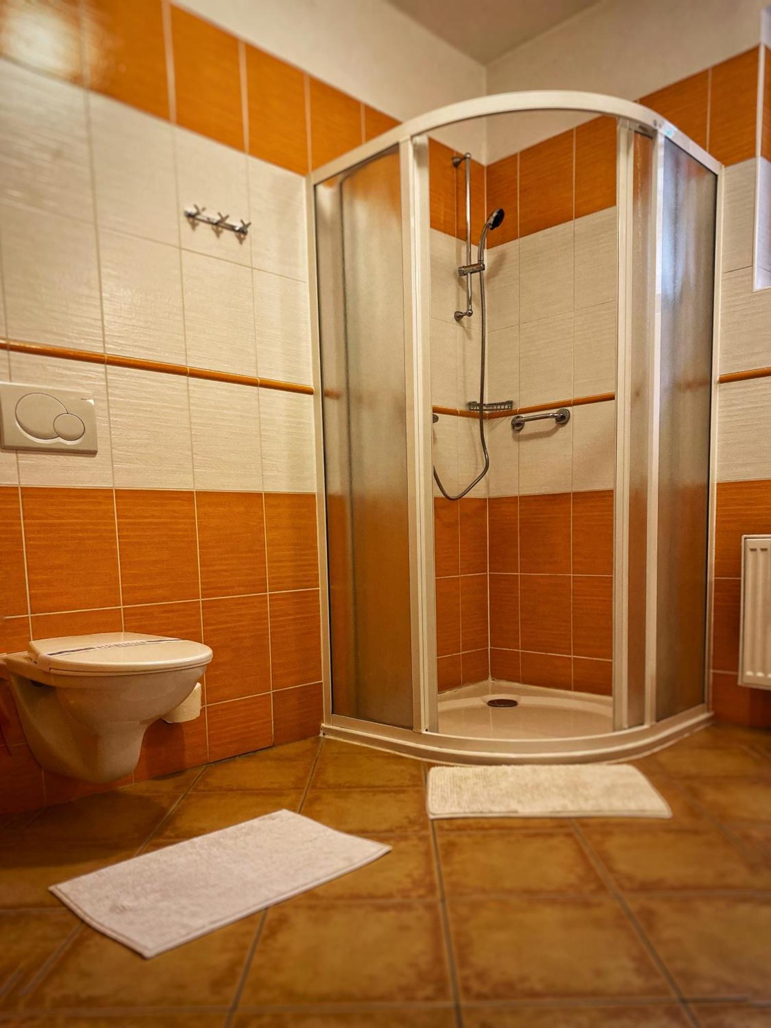 Horsky Hotel Snezenka Hyncice pod Susinou Номер фото