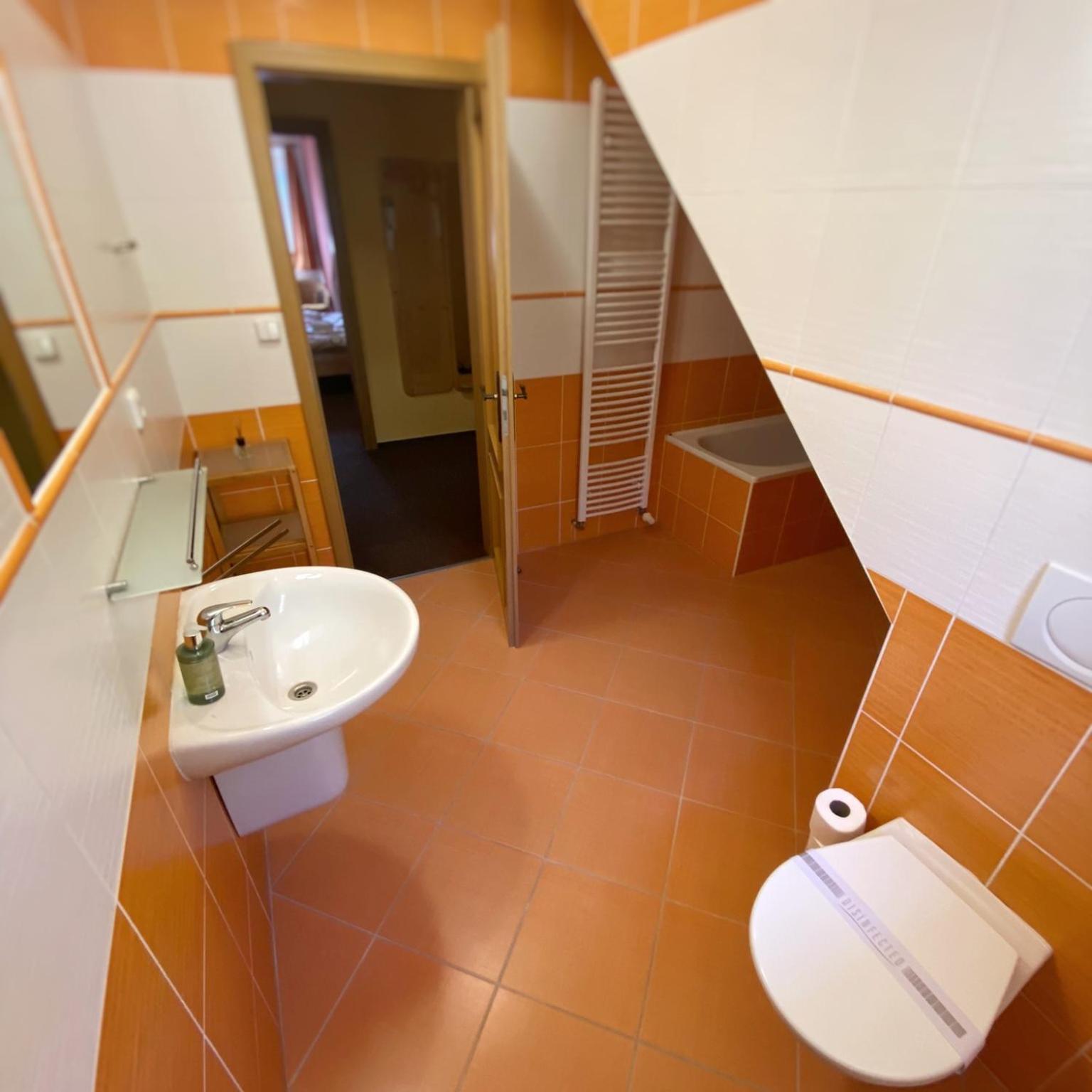 Horsky Hotel Snezenka Hyncice pod Susinou Экстерьер фото