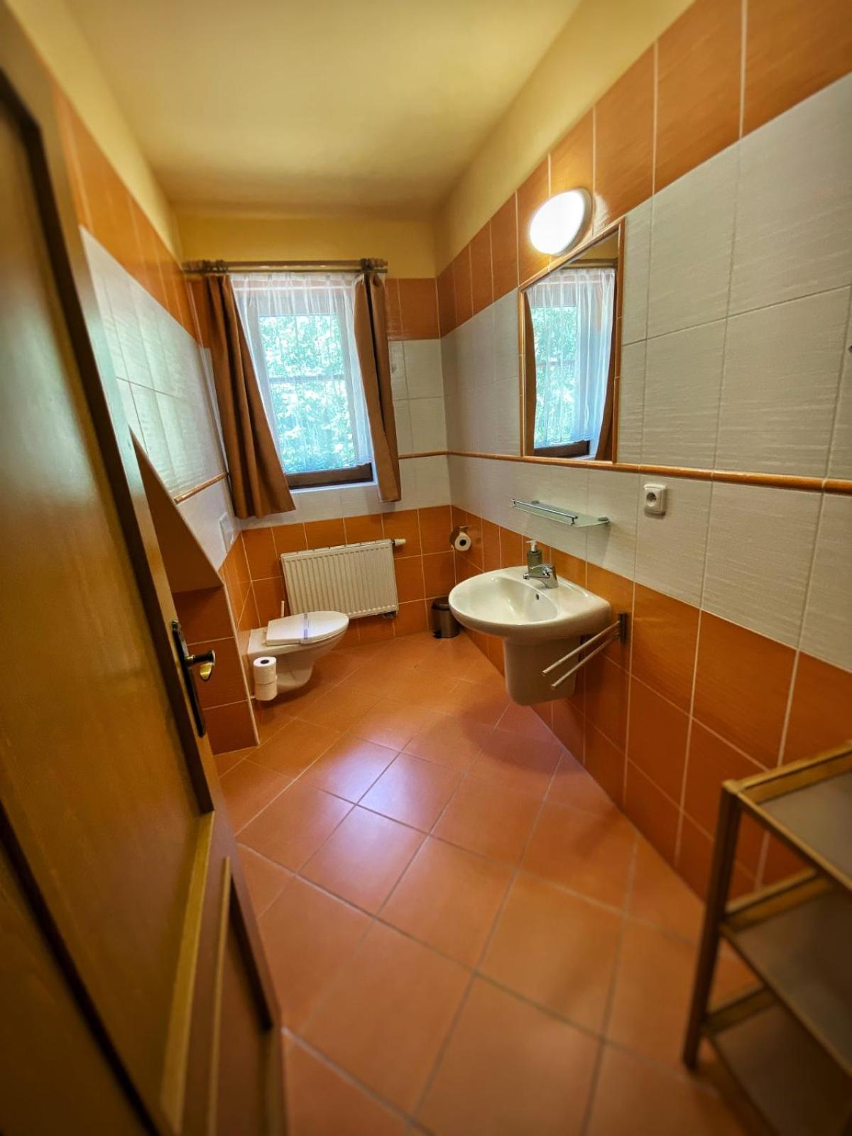 Horsky Hotel Snezenka Hyncice pod Susinou Экстерьер фото