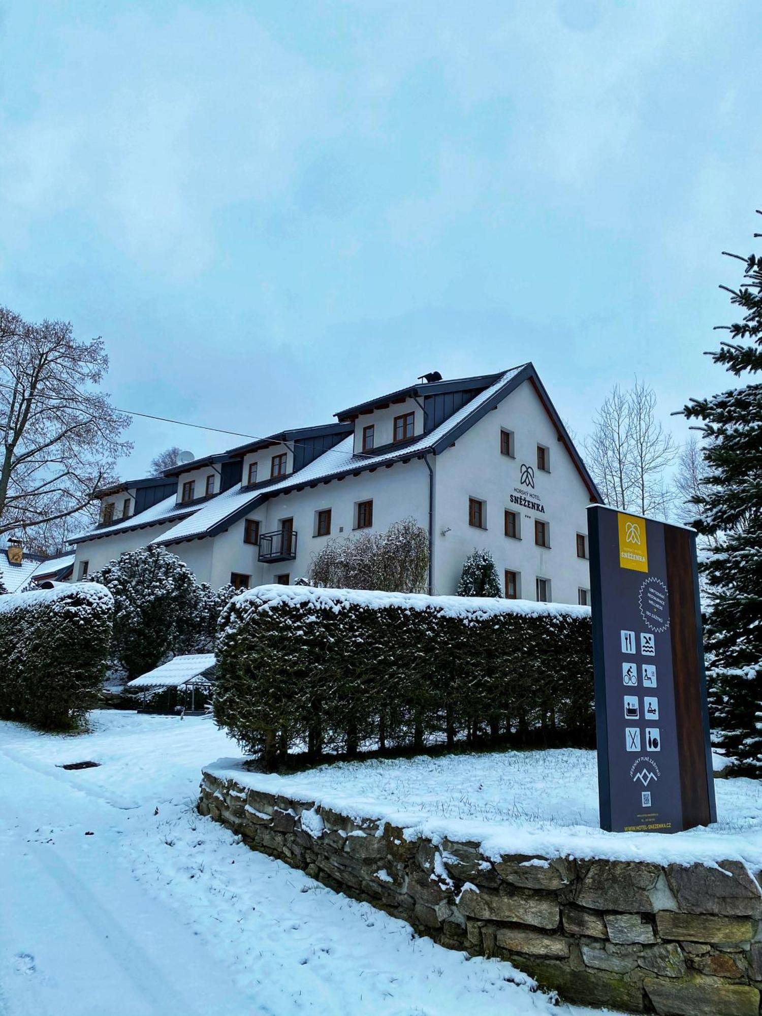 Horsky Hotel Snezenka Hyncice pod Susinou Экстерьер фото